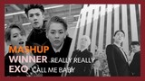 [MASHUP] WINNER × EXO｜REALLY REALLY + CALL ME BABY
