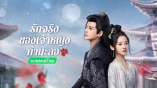 ฿ 17-24 (จบ)