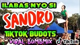 Tiktok BUDOTS Viral | ILABAS NYO SI SANDRO x ALPHA KAPANDAK Bomb Budots Remix 2022