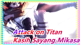 [Attack on Titan] Kasih Sayang Mikasa pada Eren, Cinta atau Kekeluargaan?