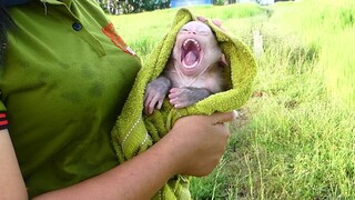 Super Cute little boy Maki feel Very sleepy after mom Take a shower and Wipe body Him is ready