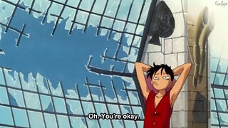 Luffy's dumb/funny moments 😂