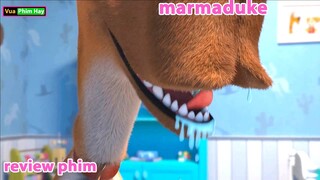 review phim Marmaduke