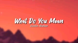 What do you mean[ Justin Bieber]#music