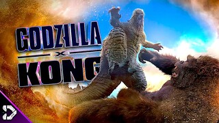 Why Did Godzilla ATTACK Kong? | Godzilla X Kong Lore EXPLAINED