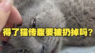 所以得了猫传腹就一定要被扔掉吗