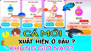 PLAY TOGETHER | THỜI GIAN VÀ ĐỊA ĐIỂM XUẤT HIỆN CỦA 13 LOẠI CÁ MỚI VỪA ĐƯỢC CẬP NHẬT