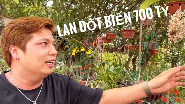 (Vlog) THĂM VƯỜN LAN ĐỘT BIẾN 700 TỶ NHÀ TỨ TỒ !!! Lần đầu đến thăm nhà pháp sư Hải Dương !!!