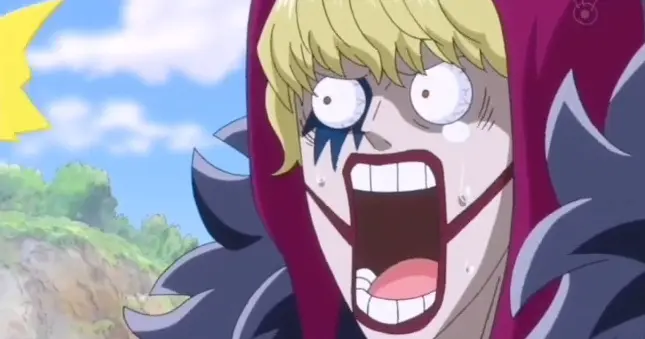 One Piece Is Gentle But Corazon Bilibili