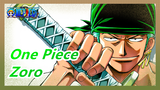[One Piece] Zoro: Come in and See My Cool Scenes