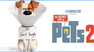 THE SECRET LIFE OF PETS 2 (2019) DUBBING INDONESIA HD