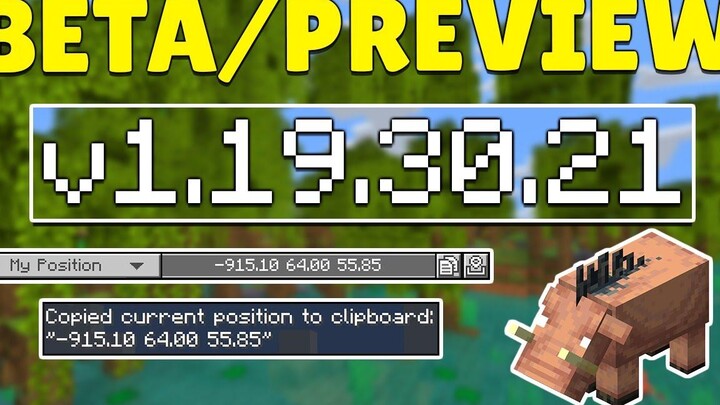 MCPE 1193021 เบต้า/ดูตัวอย่างสำเนา CORDINATES เพิ่ม! Minecraft Pocket Edition แก้ไขข้อผิดพลาด!