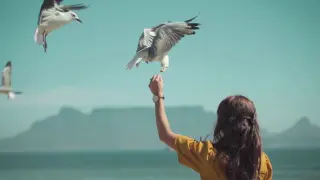 Relaxing music to beautiful slow motion visuals of a woman feeding seagulls by the sea.