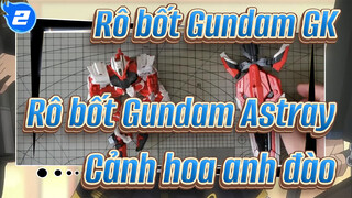 Rô bốt Gundam GK
Rô bốt Gundam Astray 
Cảnh hoa anh đào_2