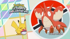 [English] Pokémon S25E44