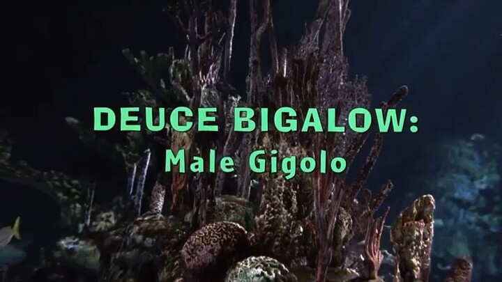 Deuce Bigalow: male gigolo