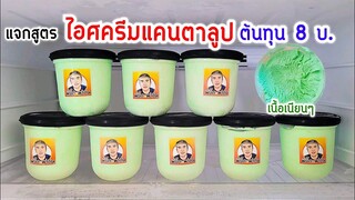 ไอศครีมแคนตาลูป สูตรทำกิน ทำขาย พร้อมคำนวณต้นทุน อร่อย หวาน เนื้อเนียนๆ cantaloupe ice cream