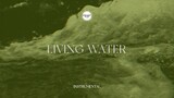 Feast Worship - Living Water (Instrumental Lyric Video)