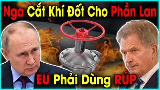 Từ Chối Đồng RÚP! Putin Thẳng Tay Cắt Khi Đốt Tới Phần Lan, Không Chịu Được Lạnh Người Dân Cầu Cứu