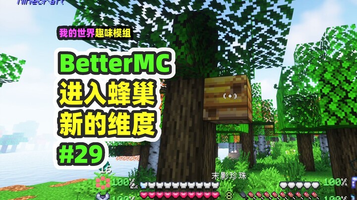 我的世界：BetterMC29，蜂巢里面还有个世界？