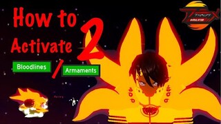 How to Activate 2 Bloodline/Armament|Full Guide in Anime Fighting Simulator