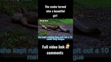 The snake turned into a beautiful girl 😱 #shorts #viral #youtubeshorts