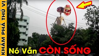 🔥 7 Bí Ẩn Ly Kỳ Và Đáng Sợ Về GREAT MOTHER MEGAPHONE - Quỷ Mẹ Đầu Loa Mà Không Ai Nói Bạn Biết |KPTV