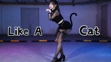 【糖小V】Like a cat猫步轻俏【做你的猫～】