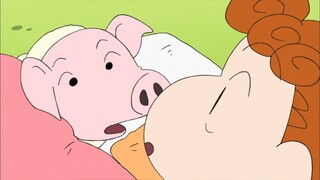 [Crayon Shin-chan] Chú lợn con đi lạc vào nhà Xiaoxin rất thích chú lợn nhỏ này và ôm đi ôm lại.