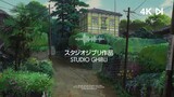 The most Aesthetic video you ever seen | Studio Ghibli