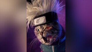 Balas  Done ya cat catcosplay kakashi kakashihatake anime animecosplay fyp fypシ viral xyzbca cosplay