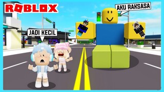 Aku Dan Adiku Dikutuk Menjadi Kecil di Roblox Brookhaven ft @Shasyaalala