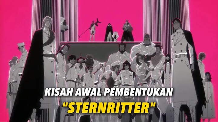 AWAL DIBENTUKNYA STERNRITTER DI BLEACH!