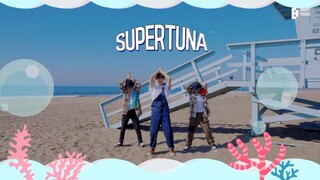 lagu super tuna seokjin of BTS terjemahkan bahasa indonesia