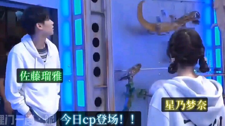 瑠梦cp！！！快来！！！