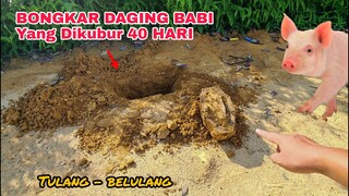 TERAKHIR!!!.. Bongkar Daging BABI yang telah dikubur 40 Hari, ternyata seperti ini..