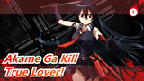 Akame Ga Kill| People who insist on watching it must be true love_1