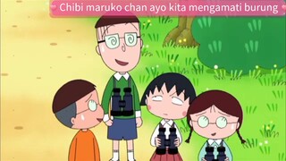 Chibi maruko chan ayo kita mengamati burung