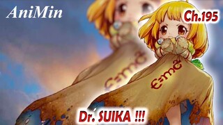 Suika Membuat Cairan Kebangkitan | Dr. Stone Chapter 195