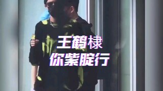 王鹤棣:让我看看又被这群女人拍了什么帅图！