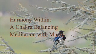 Harmony Within: A Chakra Balancing Meditation with Music