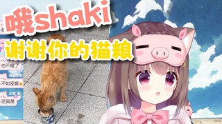 猪猪公主：我感觉我喂的着猫边往我这跑边喊我 哦~shaki~