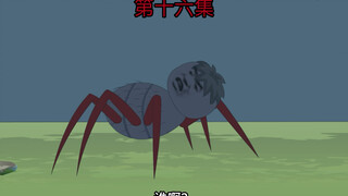 为情所困的红脚蜘蛛？！