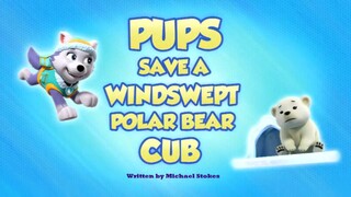 Paw Patrol Musim 10 Episode 4 original