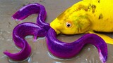 Belut ikan mas Stop Motion Eel ASMR di lubang Memasak Primitif Mukbang di Lumpur Membersihkan Mainan