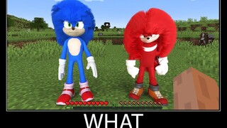 Minecraft รออะไร meme part 99 สมจริง Sonic the Hedgehog 2