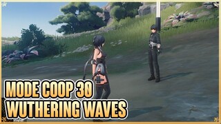 MODE CO-OP LEVEL 30 - WUTHERING WAVES [TOPUP DI FEBRY.STORE]