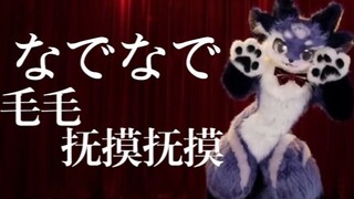 毛茸茸超可爱！！【FURRY】《抚摸抚摸》/兽装舞蹈《なでなで》【犬琉】