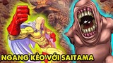 Top 5 Trận Chiến Ngang Tài Cân Sức Mãn Nhãn Nhất One Punch Man