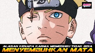 ALASAN KARMA MOMOSHIKI TIDAK BISA MENYEMBUHKAN LUKA DI MATA BORUTO